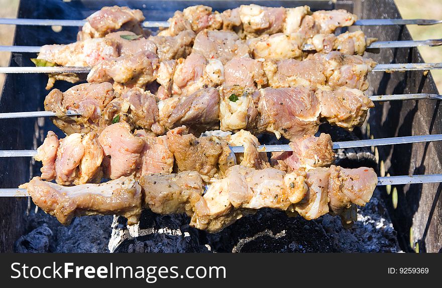 Shish kebab preparation on a brazier. Outdoor picnic.