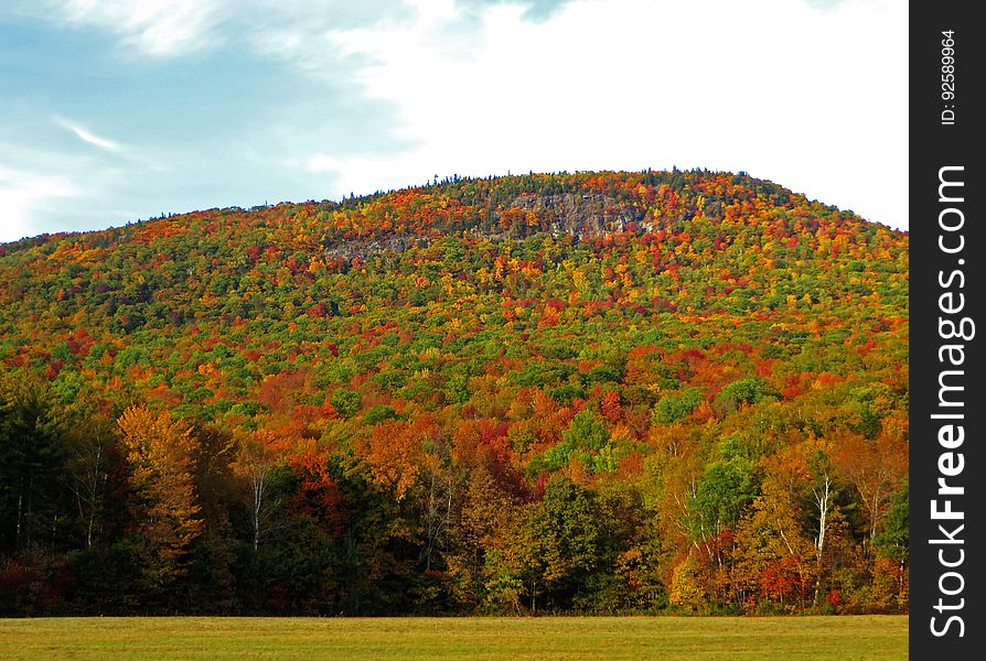 Autumn Color Assault