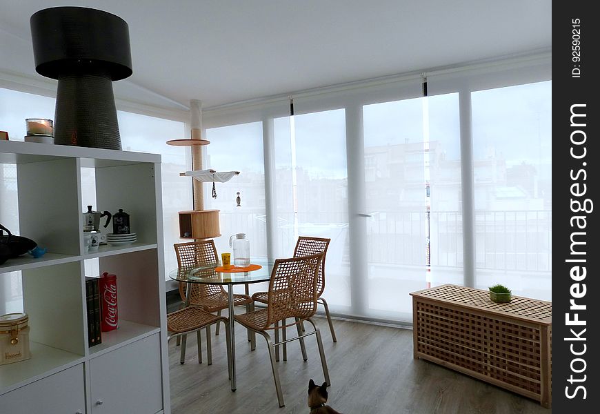 Appartement Tour: Veranda/living Room &x28;+ Cat&x29;