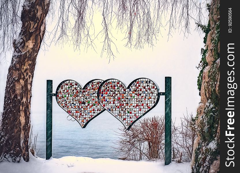 Heart Shape On Tree