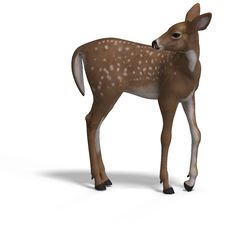 Fawn Royalty Free Stock Photography