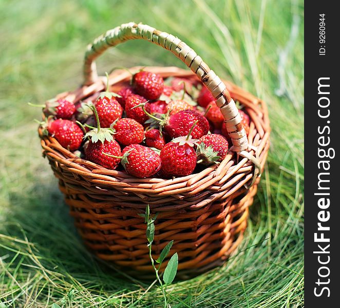 Strawberry in a basket on a grass.