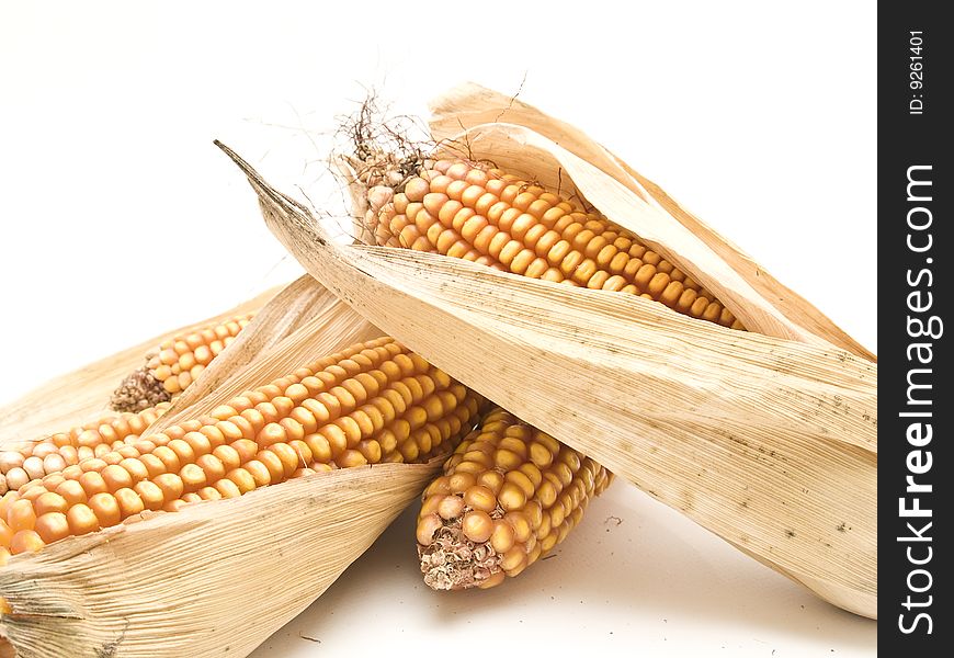 Corn cob
photography studio white background