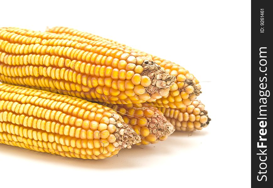 Corn Cob