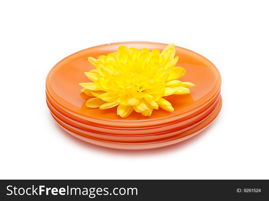 Orange plates by pile, yellow flower on them, on white background