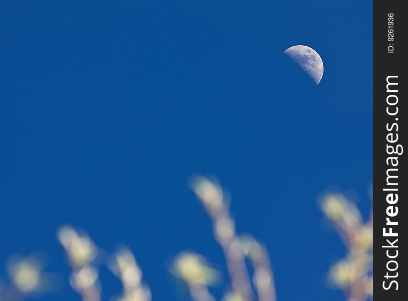 Shot of moon. Spring day. Europe