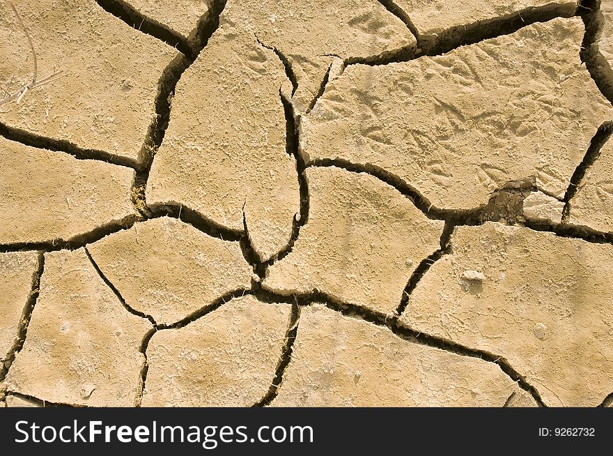 Animal footprints in dry cracked earth. Animal footprints in dry cracked earth