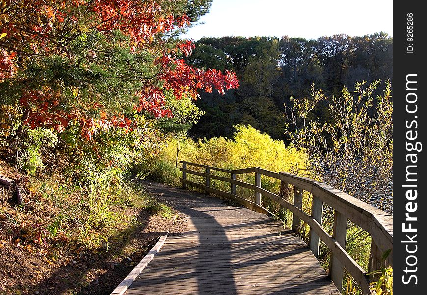 Wood path through autumn colors by lake. Wood path through autumn colors by lake