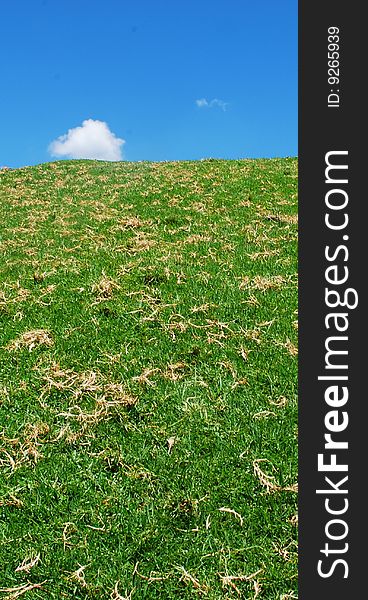 Beautiful green grass with the blue sky in nice weather. Beautiful green grass with the blue sky in nice weather
