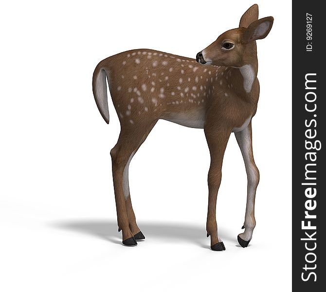 Young doe or fawn With Clipping Path and shadow