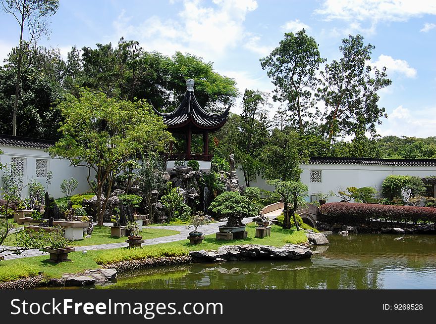 Traditional Chinese garden layout with bonsai and landscaping. Traditional Chinese garden layout with bonsai and landscaping