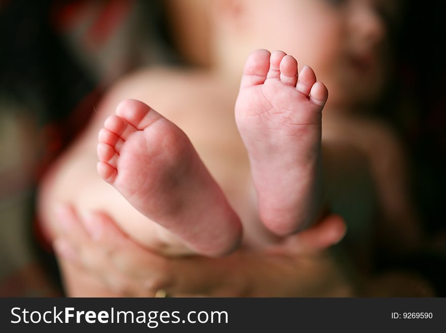 Father holding his child's little feet. Father holding his child's little feet