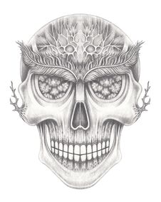 Art Surreal Skull. Royalty Free Stock Images