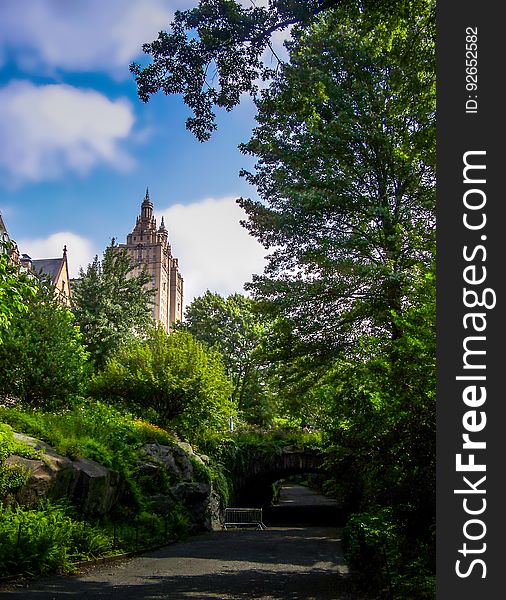 Central Park, New York City