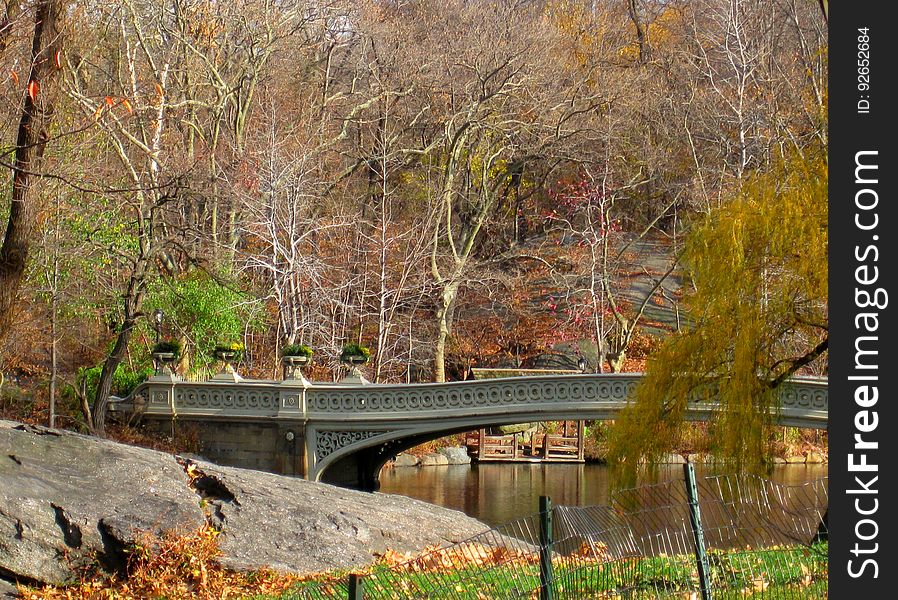 New York 29.11. - 3.12.2011, Stadtrundfahrt, Central Park. New York 29.11. - 3.12.2011, Stadtrundfahrt, Central Park