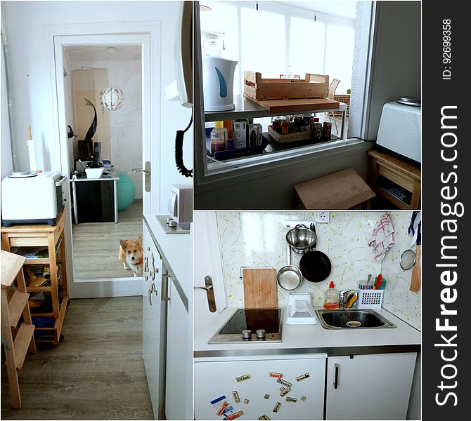 Appartement Tour: Entry/kitchen &x28;+ Corgi&x29;
