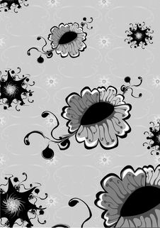 Funky Flowers Stock Photo Funky Flowers Stock Photo
