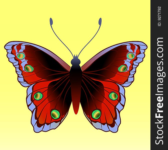 Vector Illustration of detailed Brightly coloured butterfly.