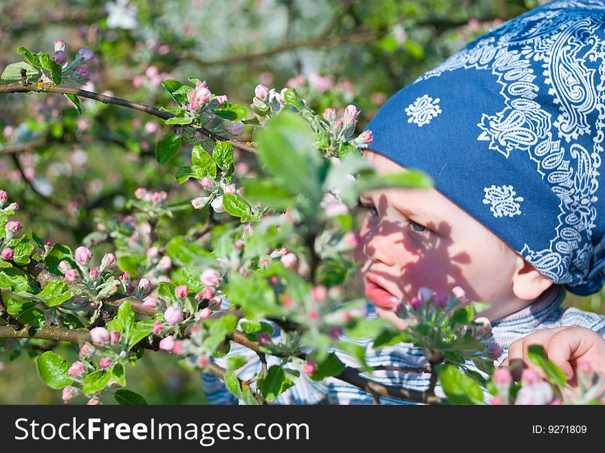 Baby touching an apple tree branch. Baby touching an apple tree branch