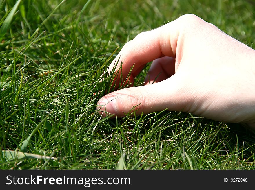 A male hand with its fingers picking up the grass. A male hand with its fingers picking up the grass.