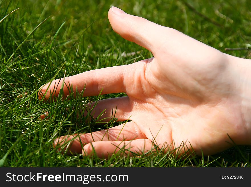 A male hand with its fingers laying open in the grass. A male hand with its fingers laying open in the grass.