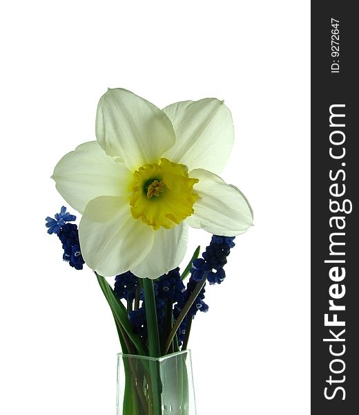 Narcissus and blue flowers in a vase.
