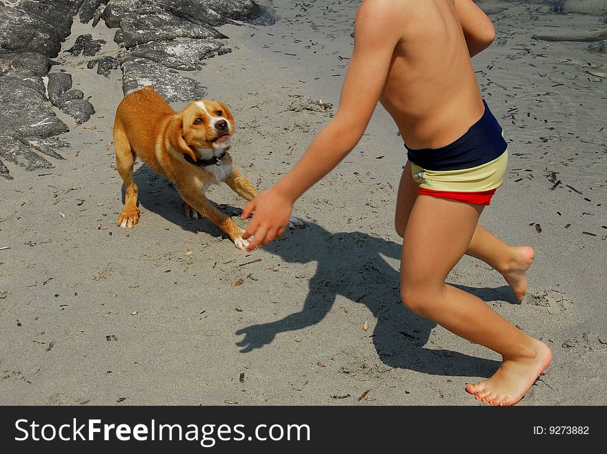 Baby and dog playing on the beach