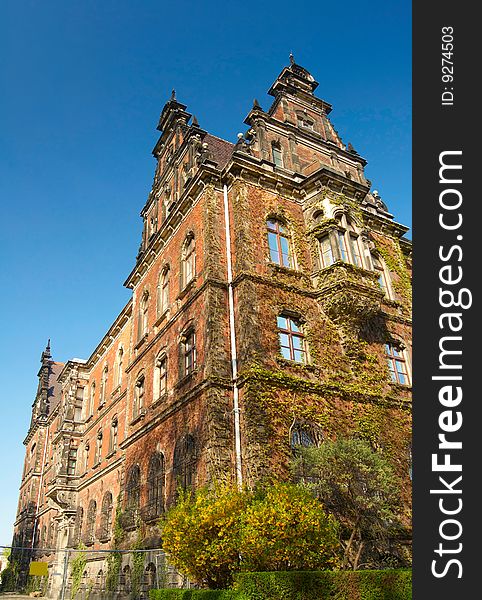 Old house with ivy on blue sky background