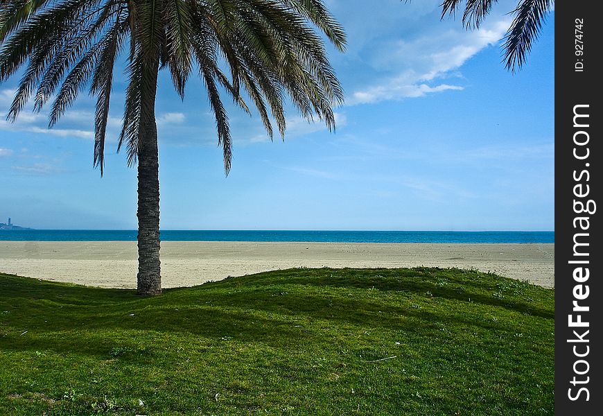 Beach and sea view from under a palm tree. Beach and sea view from under a palm tree