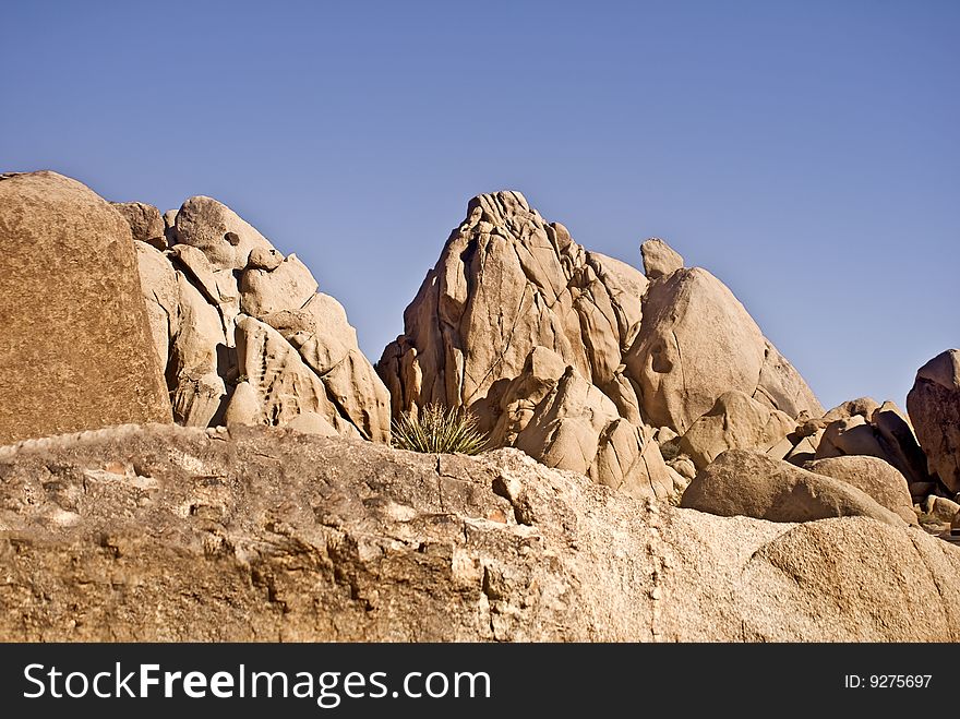 These are desert boulders at Joshua Tree National Park