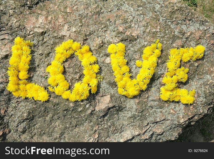 Inscription love from dandelions on a stone