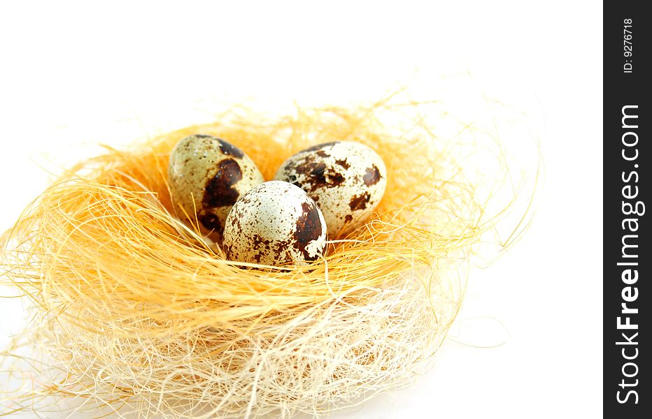 Eggs in a nest isolated on a white background