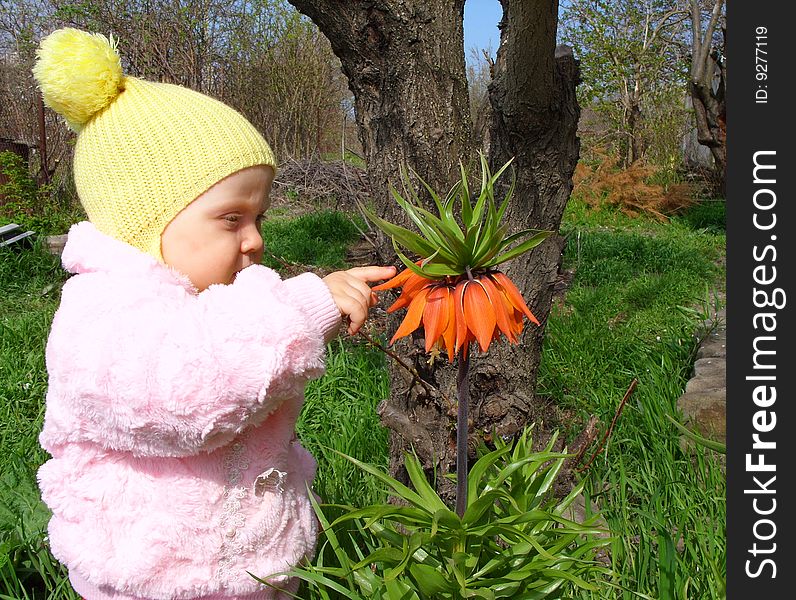 Child playing with flowers outdoors. Child playing with flowers outdoors