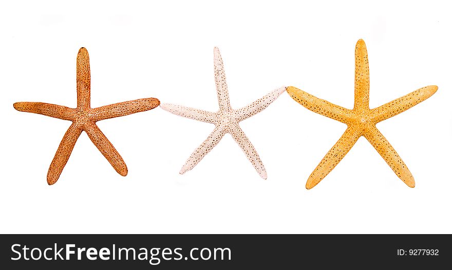 3 colorful starfish on white background