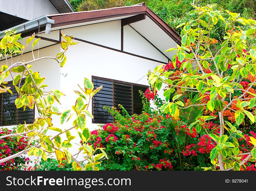 Lonely bungalow deep in the tropical forest