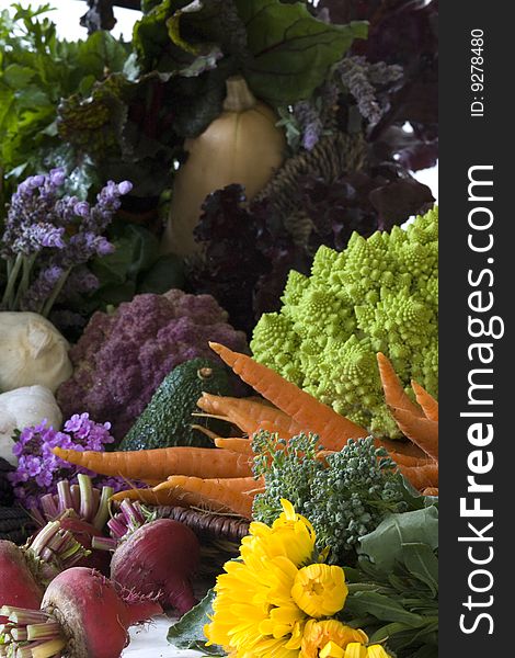 Freshly picked, organically grown fruits and vegetables. Freshly picked, organically grown fruits and vegetables