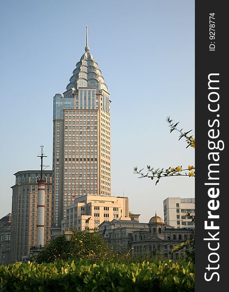 Modern Building of Shanghai City