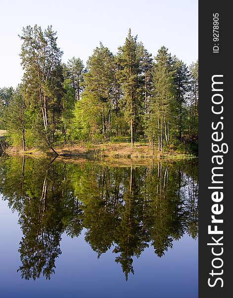 Trees on bank of lake, water, park, spring. Trees on bank of lake, water, park, spring.