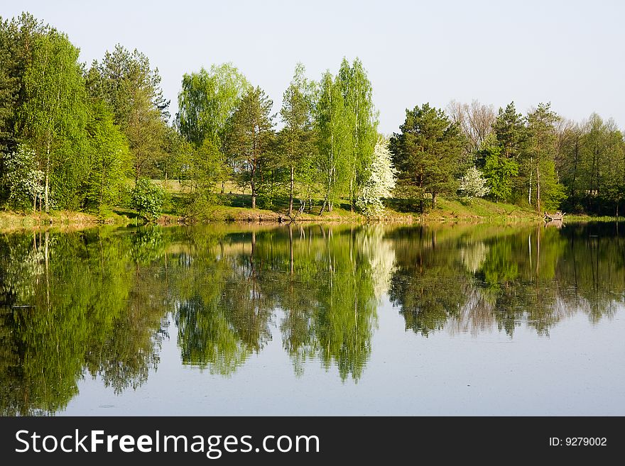 Trees on bank of lake, water, park, spring. Trees on bank of lake, water, park, spring.