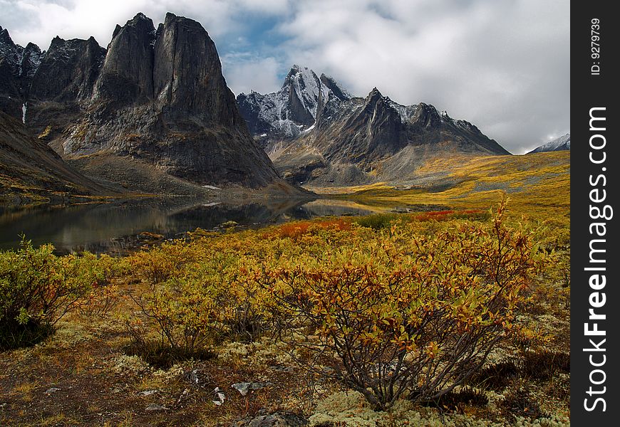 Autumn Willow At Divide Lake