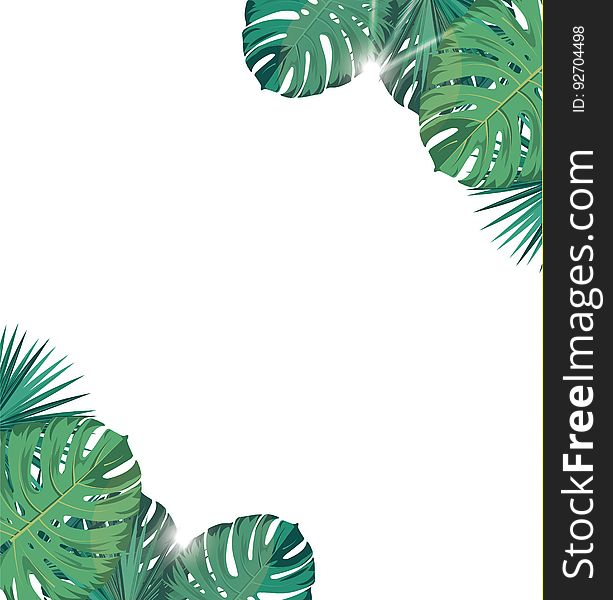 Tropic leaves with sunshine. Tropic background.