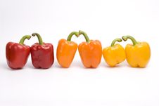 Pepper. Sweet Peppers. Royalty Free Stock Photo