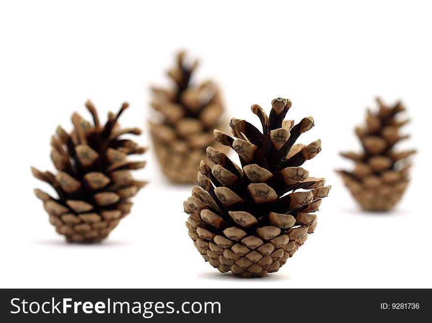 Four pine cones on white background