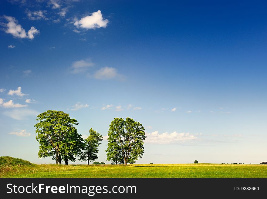 Panorama of meadow and  a few distant trees. Panorama of meadow and  a few distant trees