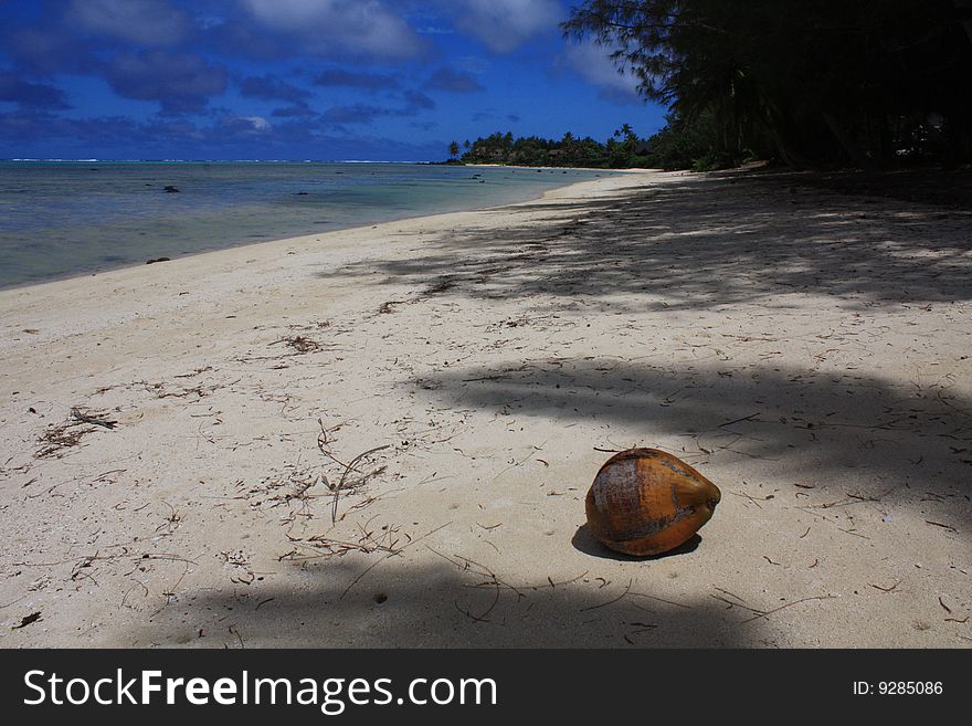 A lonely coconut on a deseted beach in the Cook Islands.