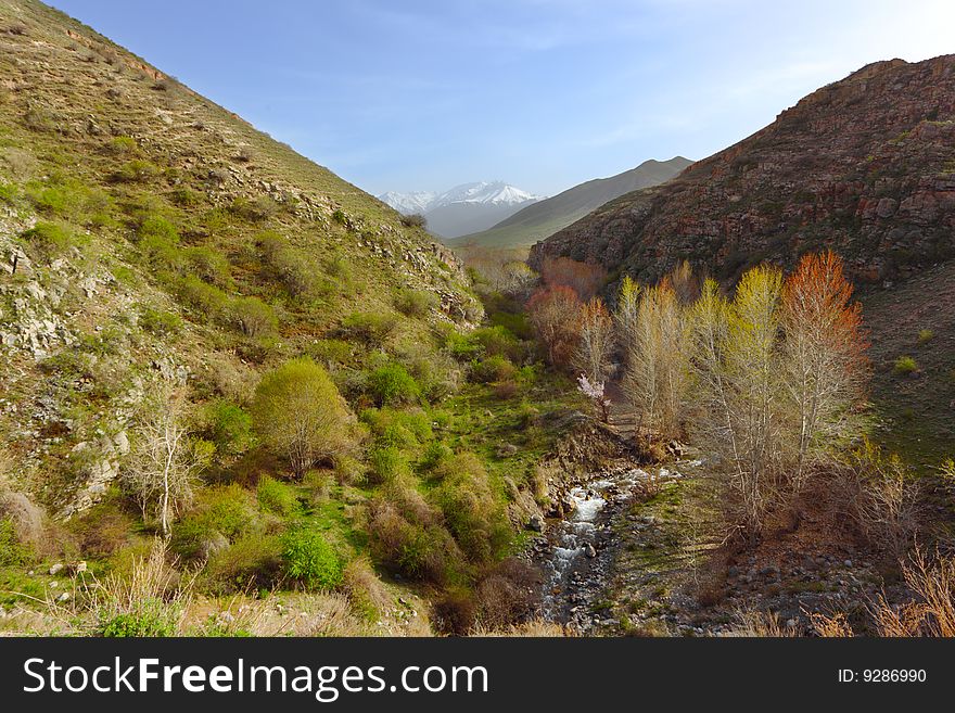 Mountain spring landscape with the river. Mountain spring landscape with the river