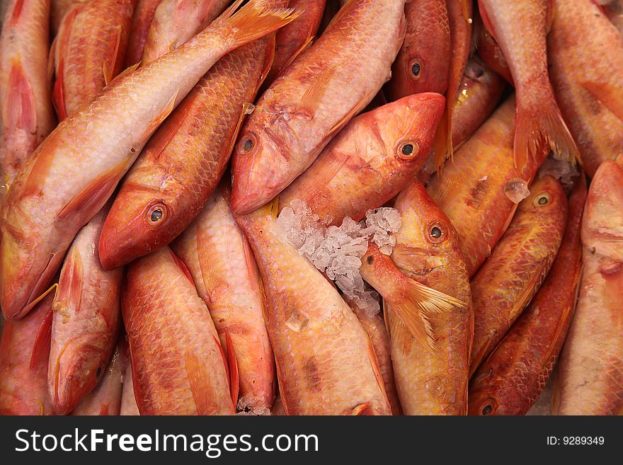 Red fish on ice street market