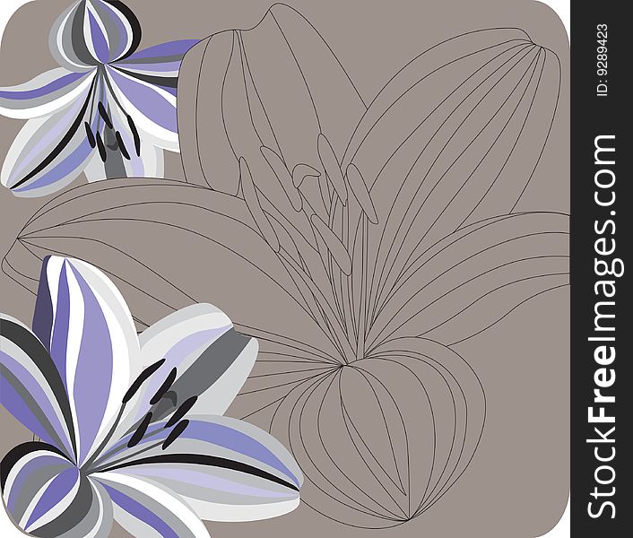 Contur of lilies on a background. Vector illustration