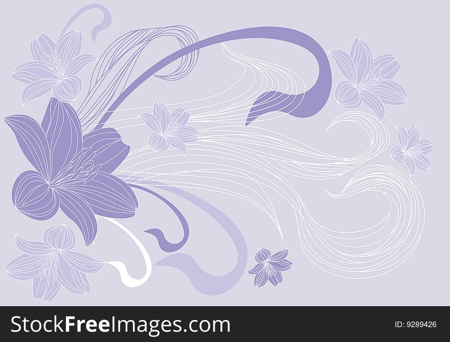 Contur of lilies on a  background. Vector illustration. Contur of lilies on a  background. Vector illustration
