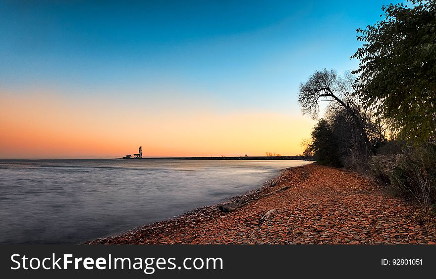 Trees On Shoreline Under Blue Sky